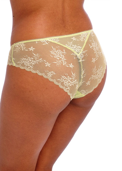 Offbeat Key Lime Brief