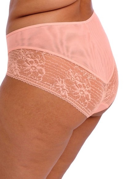 Kendra Rosebud Full Brief